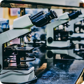 Lab Practice Essentials