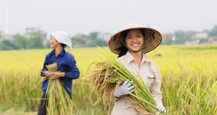 Apa Itu Koperasi Desa Merah Putih? Inilah Gerakan Ekonomi Kerakyatan dari Desa